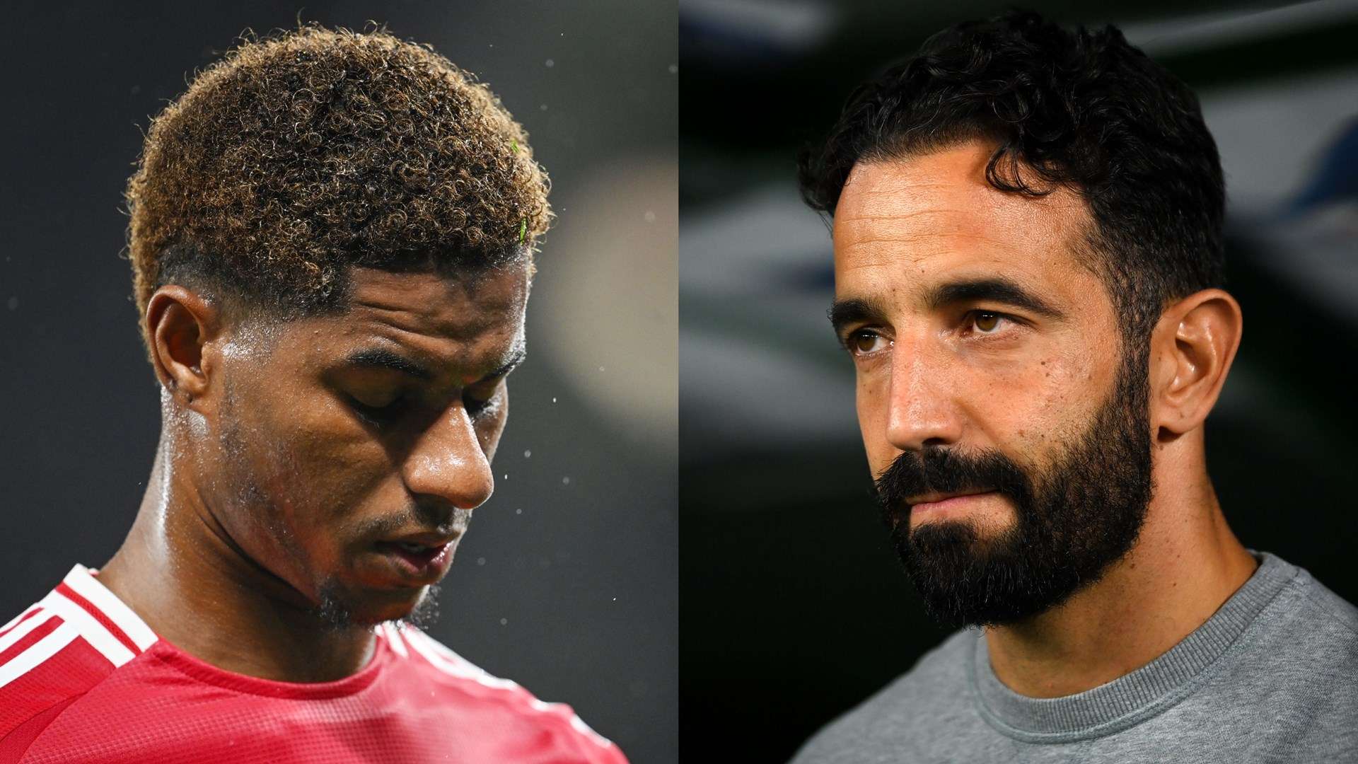 体系更加多 体系更加多